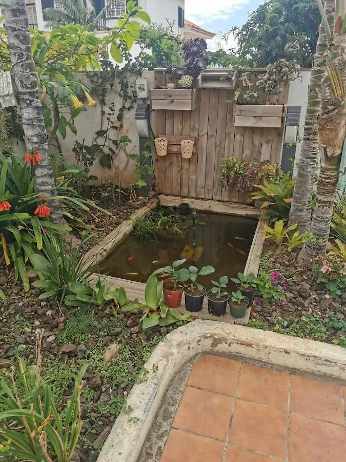 圣乌尔苏拉Jardin44公寓 圣乌尔苏拉